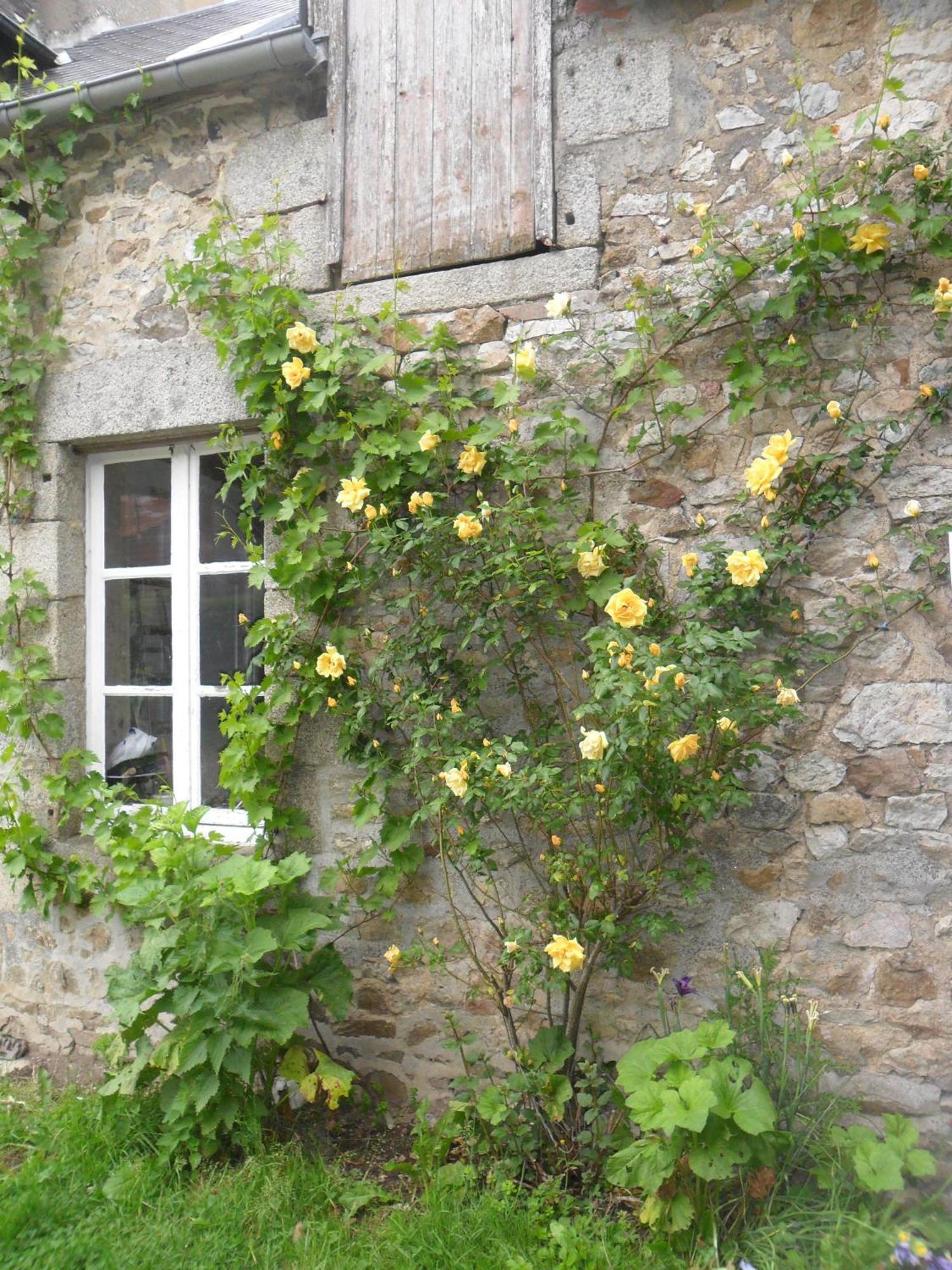 Les Hautes Loignieres Hotel Pre-en-Pail-Saint-Samson Exterior photo